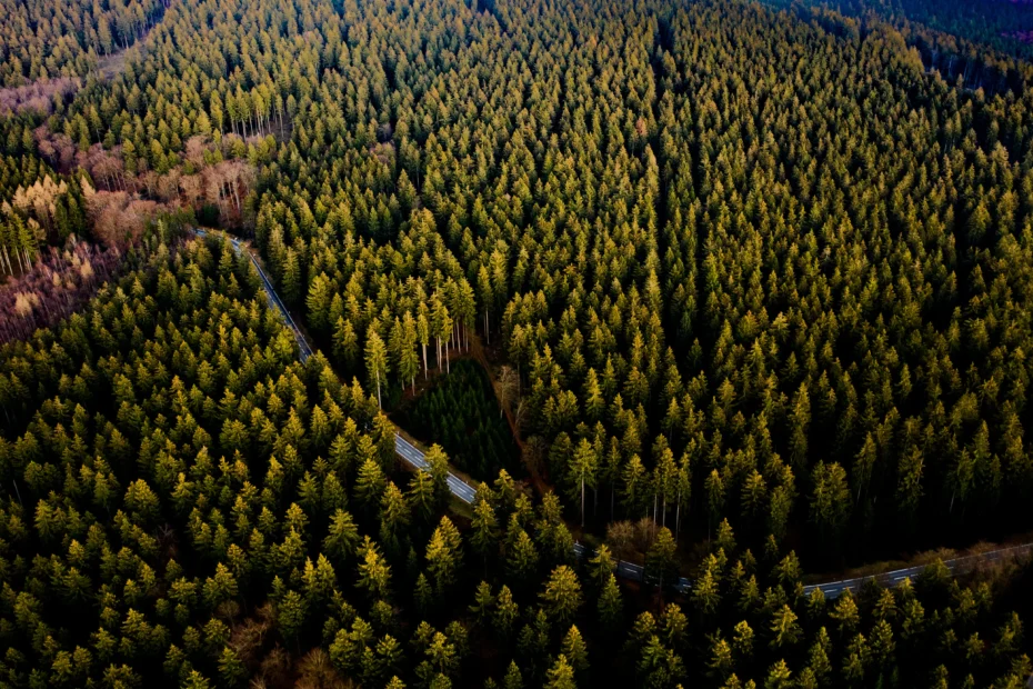 Frankfurt Taunus Luftaufnahme